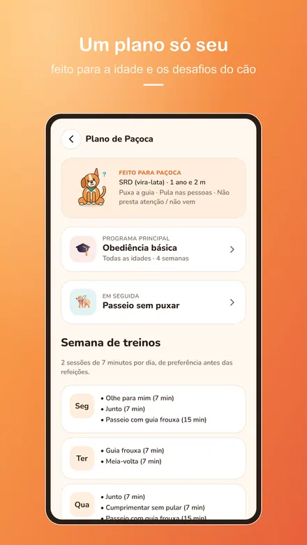 Tela 4 do Pawsitive